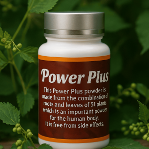 Power Plus